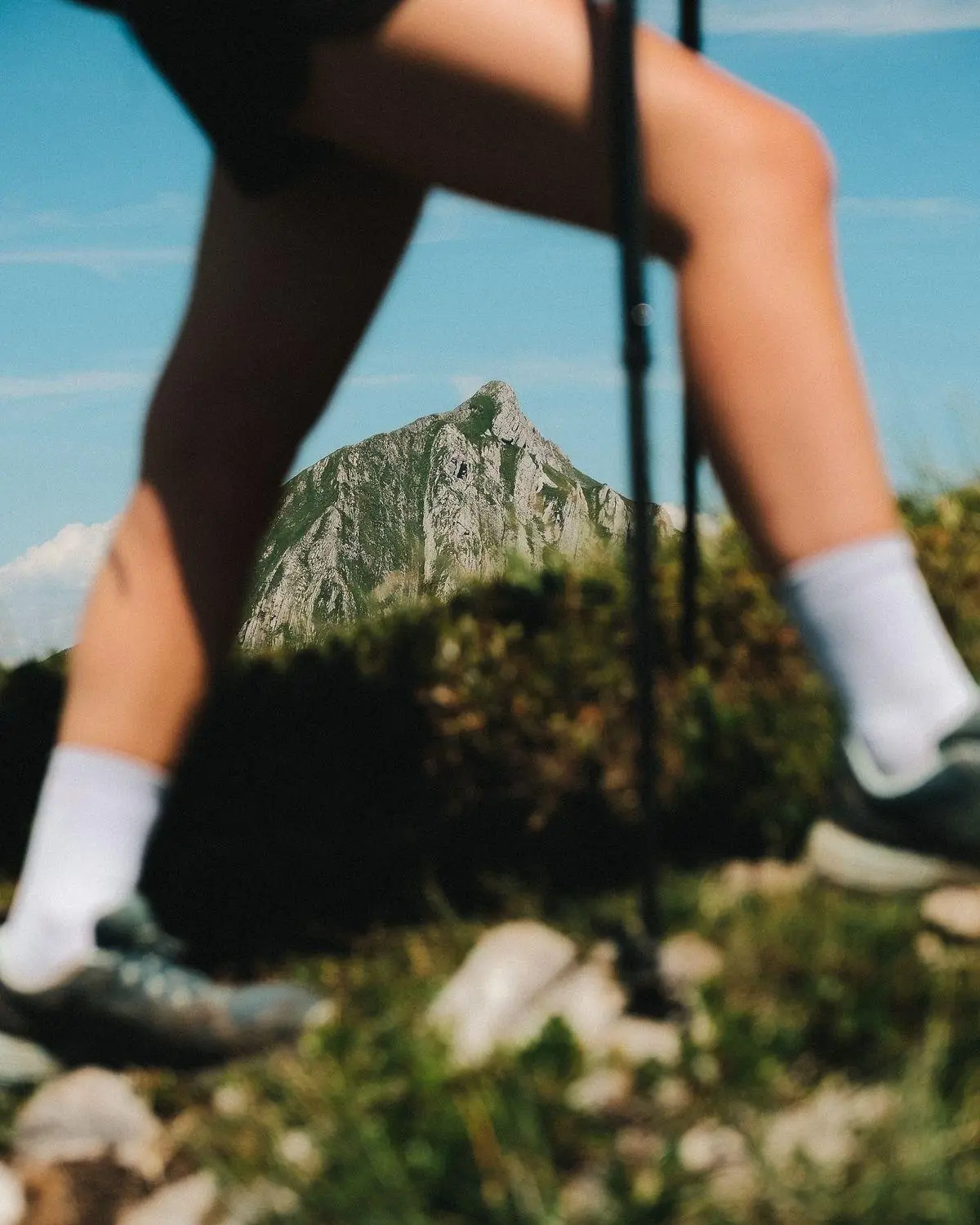 MOBY Nutrition lifestyle