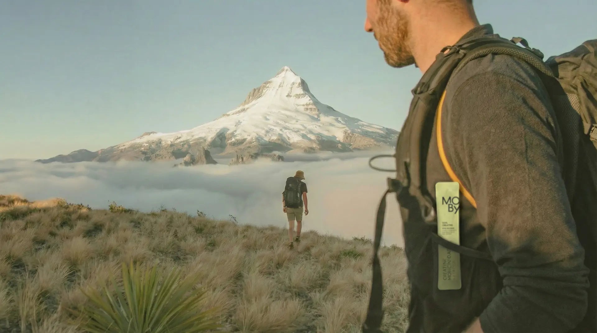 SCIENCE-BACKED CLARITY AND STRENGTH