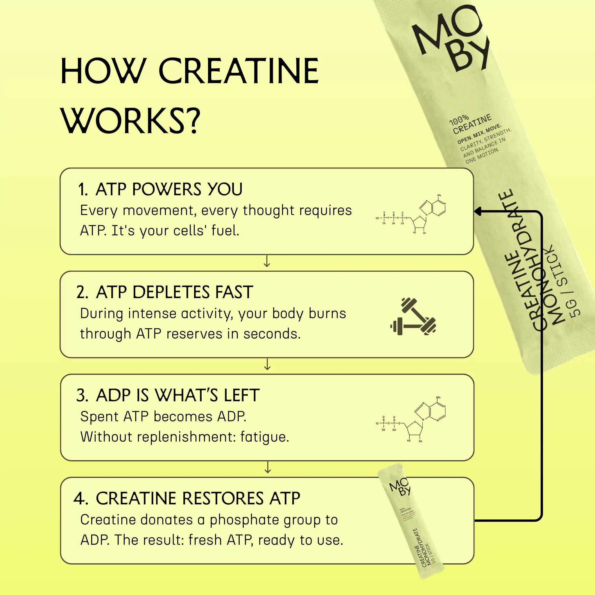 Creatine Monohydrate (30 Daily Sticks)